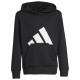 Adidas Παιδικό φούτερ Essentials Big Logo French Terry Hoodie Adidas Παιδικό φούτερ Essentials Big Logo French Terry Hoodie